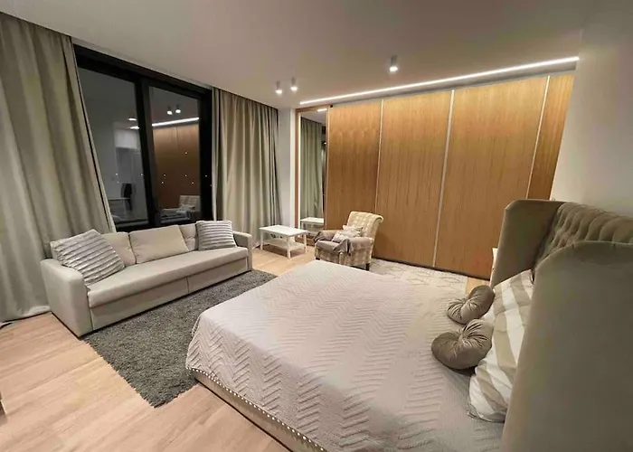 Luxurious Brand New Apartment